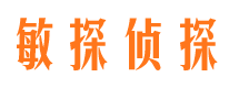 陕县敏探私家侦探公司